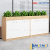 Tủ cây trang trí 1.2m TC-04 1 tu cay 04