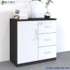 Tủ thấp tài liệu 2 cánh có ngăn kéo TTDTK 2 tu thap 2 canh co ngan keo TTdt