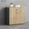 Hệ Tủ Tài Liệu Thấp TLT-04 2C 2 tu tai lieu z8 3