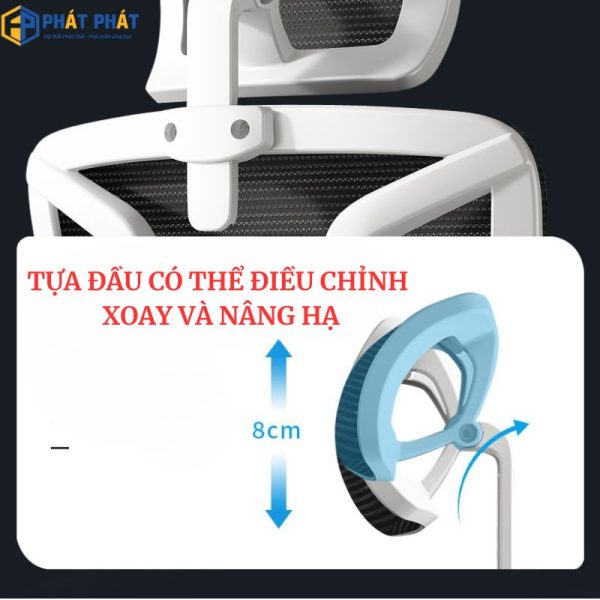 ghe cong thai hoc 607 4