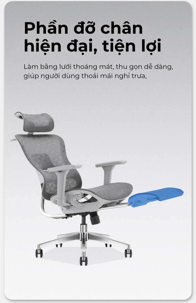 Ghế công thái học lưng kim loại Honey V5-des