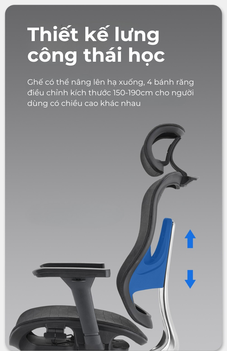 Ghế công thái học lưng kim loại Honey V5-des
