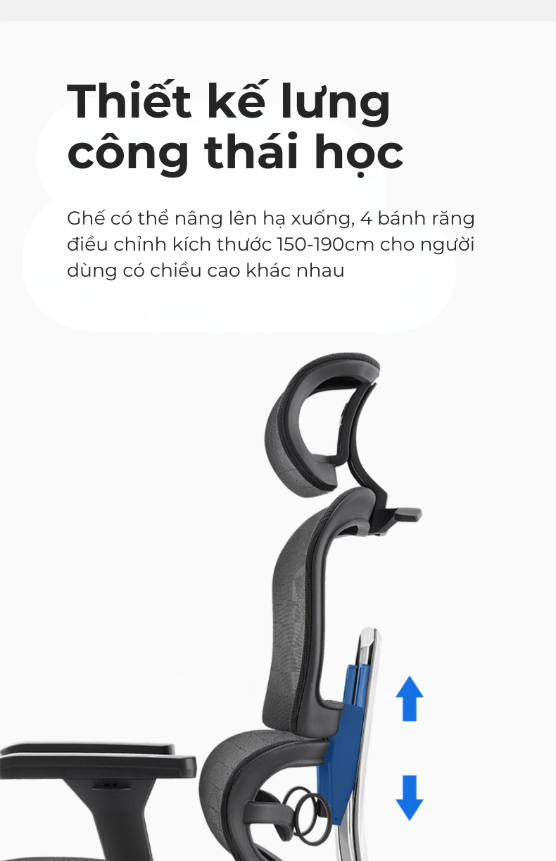 Ghế công thái học lưng kim loại Lucky V1-des