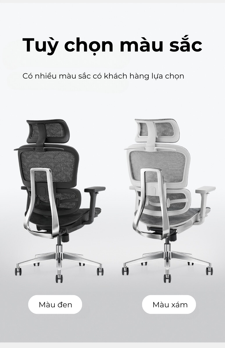 Ghế công thái học lưng kim loại Lucky V5-des Ghế công thái học lưng kim loại Lucky V5-des