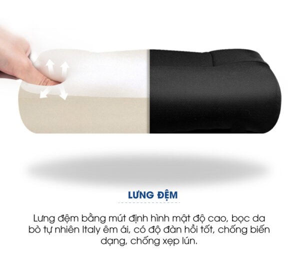Ghế lãnh đạo cao cấp nhập khẩu GGD-1102-des